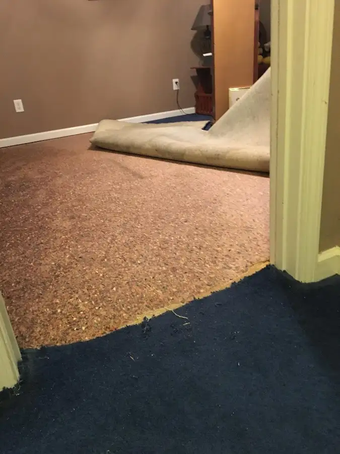 Carpet pad removal revealing water damage during Drying & Dehumidification in Northlake