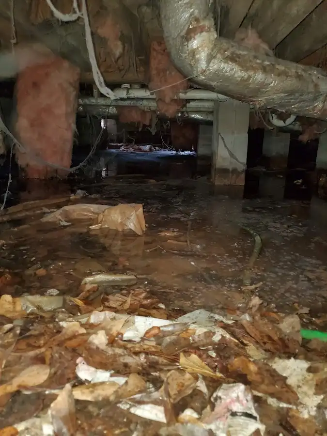 Crawl space flood assessment for Leak Detection & Repair in Northlake