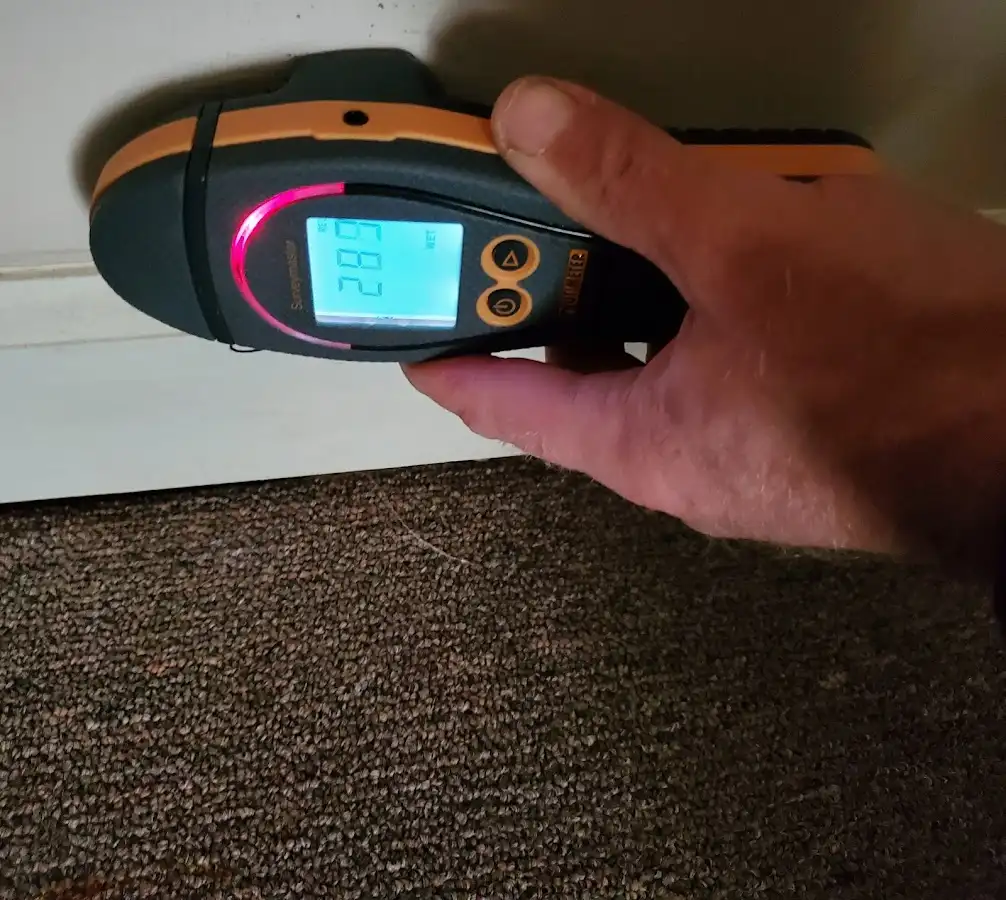 Moisture detection at baseboard during Sewage Cleanup & Sanitation in Northlake
